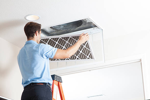 Best HVAC Air Duct Cleaning  in Long Grove, IA